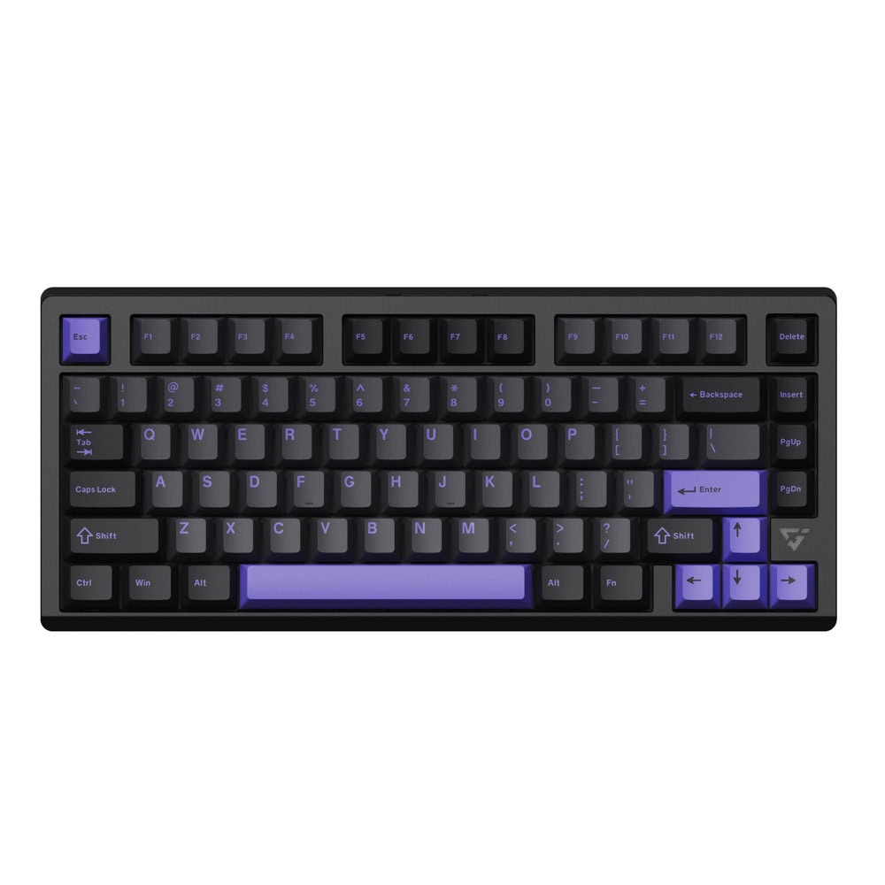 KBVGNVXE75V2MISTYPRPL