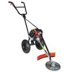 GARMWPREMIUMVI42658
