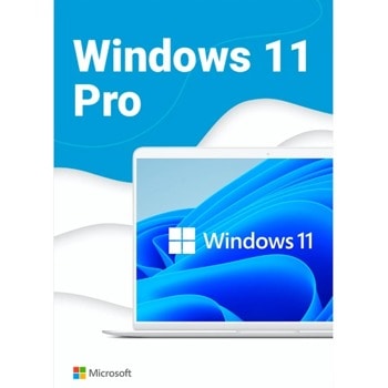 Microsoft Windows Pro 11 64-bit Eng Intl USB RS
